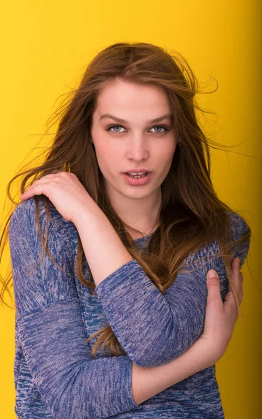 onun uzun ipeksi tüyleri ile oynarken güzel kadın