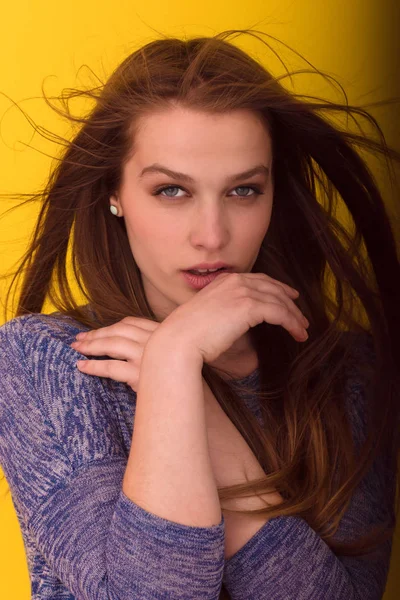 onun uzun ipeksi tüyleri ile oynarken güzel kadın