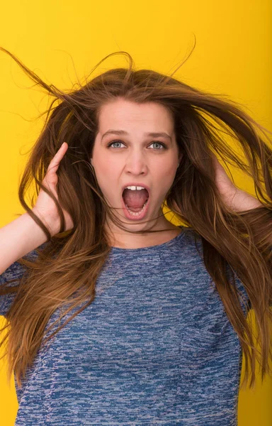 onun uzun ipeksi tüyleri ile oynarken güzel kadın