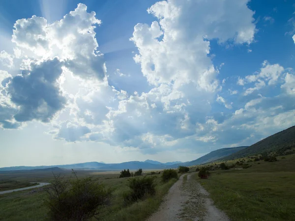 Summer landscape nature — Stock Photo, Image