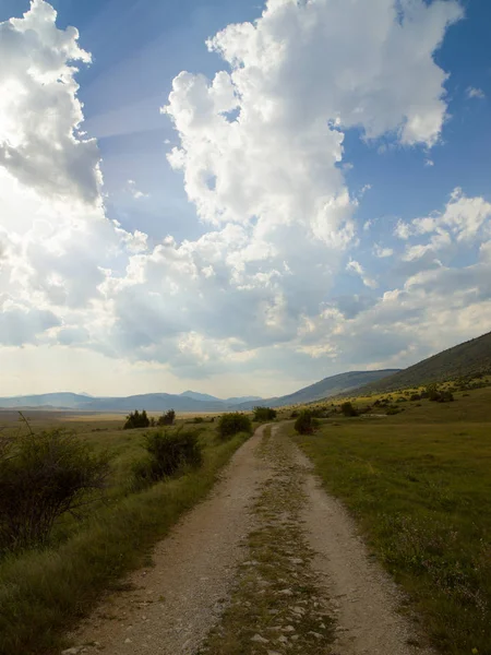 Zomer landschap aard — Stockfoto