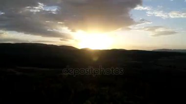 çam ağaçları içinde günbatımı üzerinde uçan