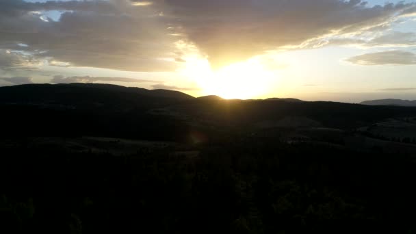 Im Sonnenuntergang über Kiefern fliegen — Stockvideo