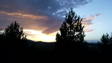 çam ağaçları içinde günbatımı üzerinde uçan