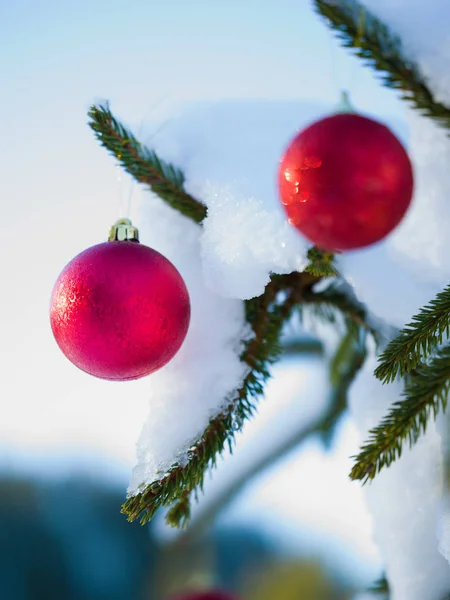 クリスマス ツリーのボール飾り — ストック写真