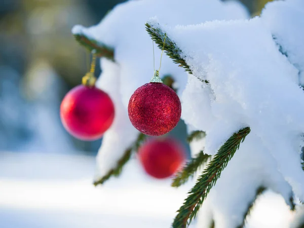 Árvore de Natal bola decoração — Fotografia de Stock