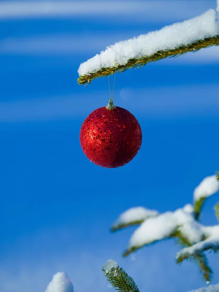 Árvore de Natal bola decoração — Fotografia de Stock