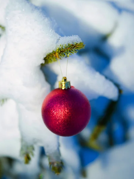 クリスマス ツリーのボール飾り — ストック写真