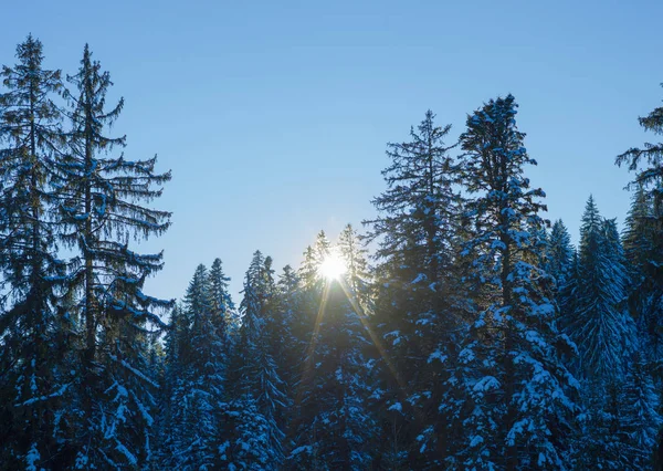 Paesaggio invernale — Foto Stock