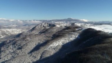 Kış orman ağaçları güneşli hava üstten görünüm 4k üzerinde uçan. Kar kapak vahşi ormanda kirişler parlayan güneş ışığı ile yukarıda hava uçuş