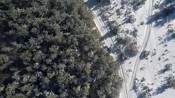 Flygande Över Vintern Skogens Träd Soligt Väder Ovanifrån Aerial Flygning — Stockvideo