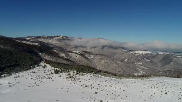 Fliegen Über Winter Waldbäume Sonniges Wetter Draufsicht Luftflug Über Schneebedeckten — Stockvideo