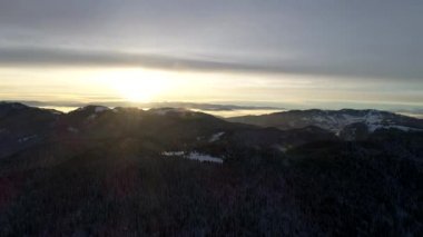 Kış orman ağaçları güneşli hava üstten görünüm 4k üzerinde uçan. Kar kapak vahşi ormanda kirişler parlayan güneş ışığı ile yukarıda hava uçuş 