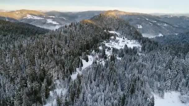 Létání nad zimní lesní stromy slunečného počasí pohled shora 4k. Letecké letu nad sníh kryt divoké lesy světlem slunce zářící paprsky 
