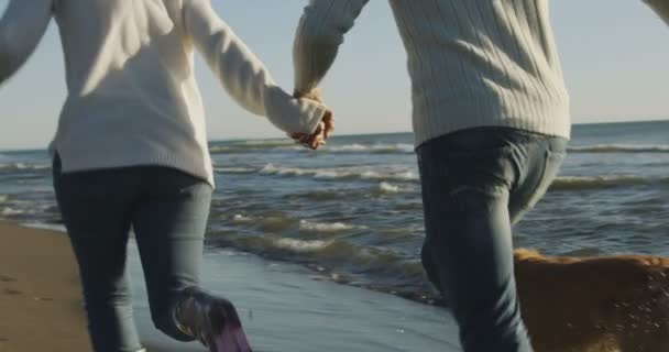 Coppia Che Corre Sulla Spiaggia Tenendo Mani Con Cane Giorno — Video Stock