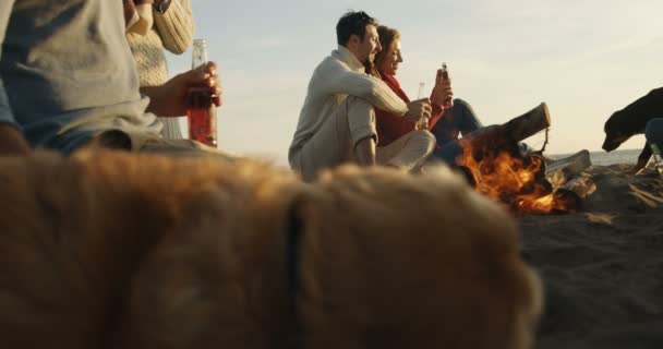 朋友放松篝火海滩派对 在红氦8K上发射 — 图库视频影像