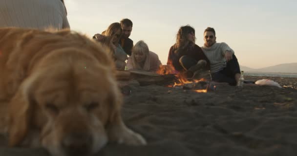 Друзі Розважаються Вечірці Bonfire Beach Застрелений Red Helium — стокове відео