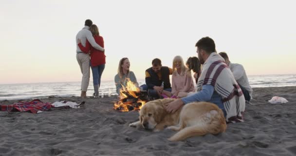 Amigos Relajándose Bonfire Beach Party Disparo Red Helium — Vídeo de stock