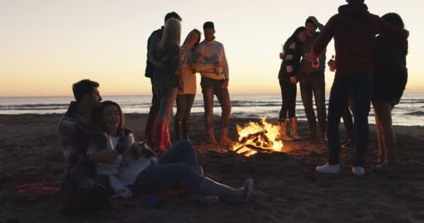Amigos Bebiendo Cerveza Con Amigos Lado Hoguera Fiesta Playa — Vídeo de stock