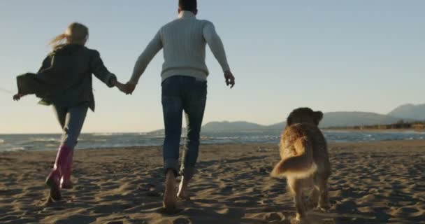 Coppia Con Cane Divertirsi Spiaggia Giornata Autunnale — Video Stock