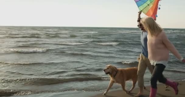 Coppia Con Cane Divertirsi Spiaggia Giornata Autunnale — Video Stock