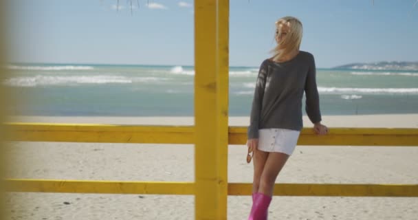 Молода Красива Жінка Пляжі — стокове відео