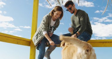 Mutlu bir arkadaş grubu yazlık evde takılıyor ve sonbahar günü bira içiyor.