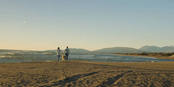 Par med hund ha kul på stranden på autmun dag — Stockfoto