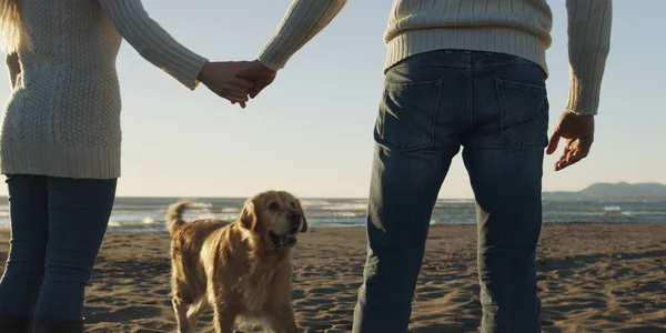 Coppia con cane divertirsi in spiaggia in giornata autunnale — Foto Stock