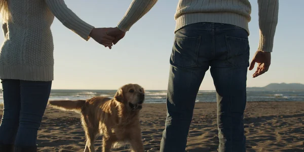 Пара с собакой веселятся на пляже в день осени — стоковое фото