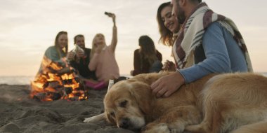 Gün batımında kumsalda köpeği olan bir grup arkadaş şenlik ateşi etrafında dinleniyor.