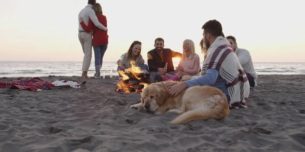 Група Друзів Собакою Розслабляється Навколо Багаття Пляжі Заході Сонця — стокове фото