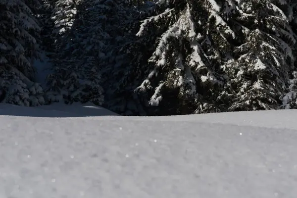 Schnee-Hintergrund — Stockfoto