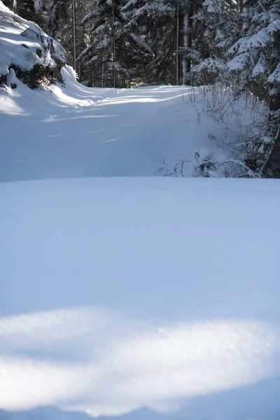 Winterlandschaft im Wald bei Sonnenuntergang — Stockfoto