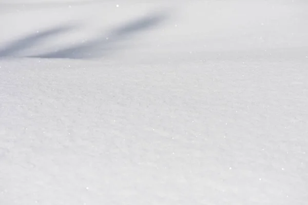 Fundo de neve — Fotografia de Stock