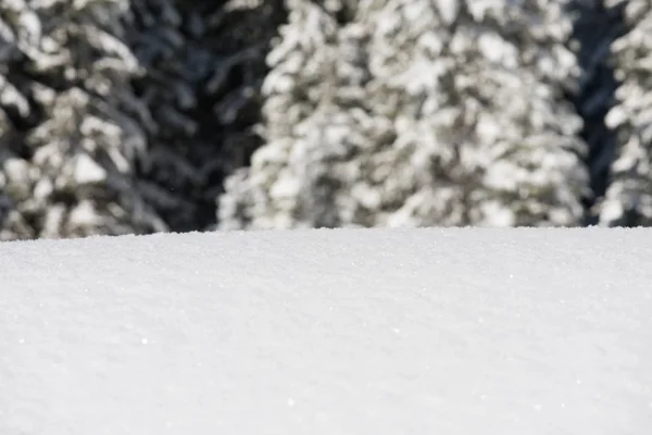 Сніг фону — стокове фото