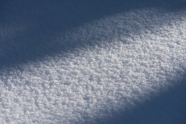 gün batımında ormandaki kış manzarası