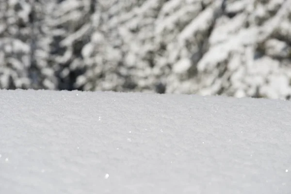 Снежный фон — стоковое фото