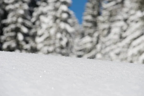 Sneeuw achtergrond — Stockfoto