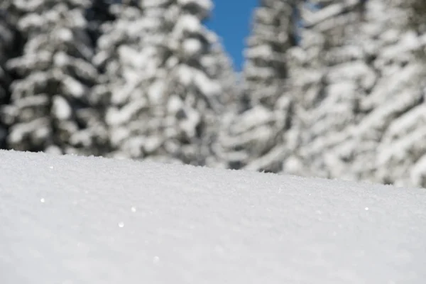 Fondo de nieve — Foto de Stock