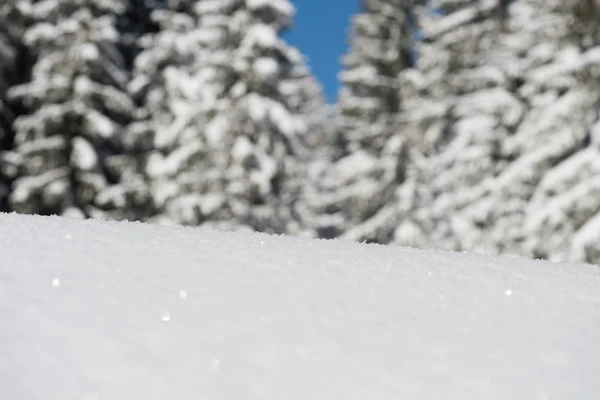 Snö bakgrunden — Stockfoto