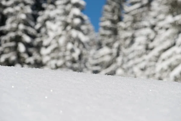 Sneeuw achtergrond — Stockfoto