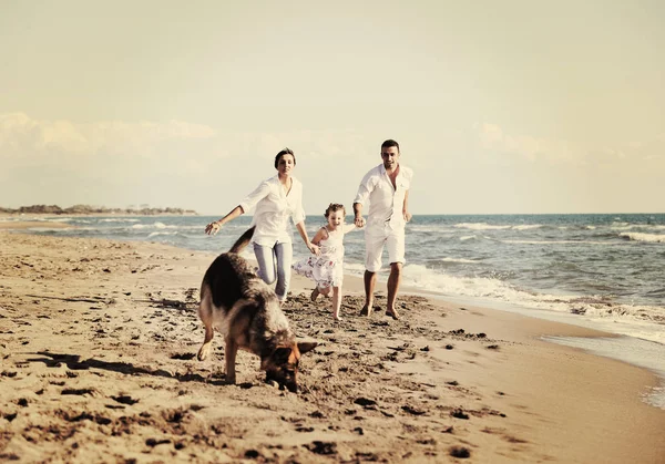 Щаслива Молода Сім Білому Одязі Розважається Грає Красивою Собакою Відпустці — стокове фото
