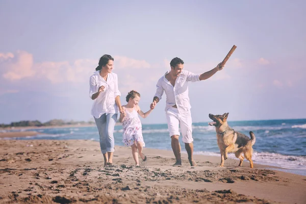 Família Jovem Feliz Roupas Brancas Divertir Brincar Com Belo Cão — Fotografia de Stock