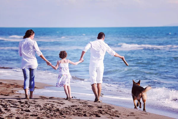 Feliz Familia Joven Ropa Blanca Divertirse Jugar Con Perro Hermoso — Foto de Stock