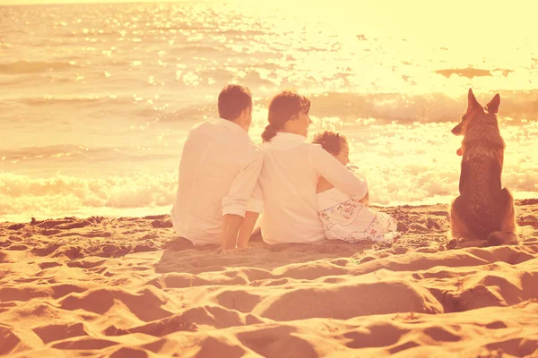白い服の幸せな若い家族は 美しいビーチで休暇中に美しい犬と遊んでいます — ストック写真