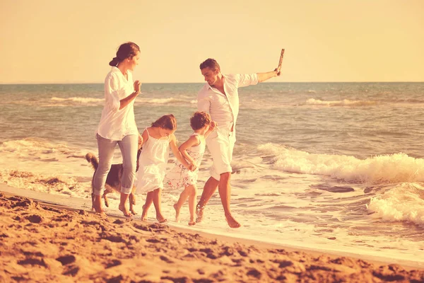 身穿白衣的快乐的年轻家庭 在美丽的海滩上与美丽的狗玩耍 — 图库照片
