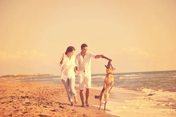 Feliz Familia Joven Ropa Blanca Divertirse Jugar Con Perro Hermoso — Foto de Stock