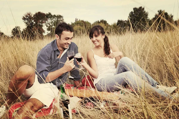 Happy Young Couple Drinking Wine Enjoying Picnic Countryside Field — Stock Photo, Image