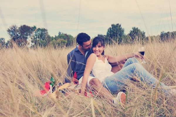 Happy Young Couple Drinking Wine Enjoying Picnic Countryside Field — Stock Photo, Image